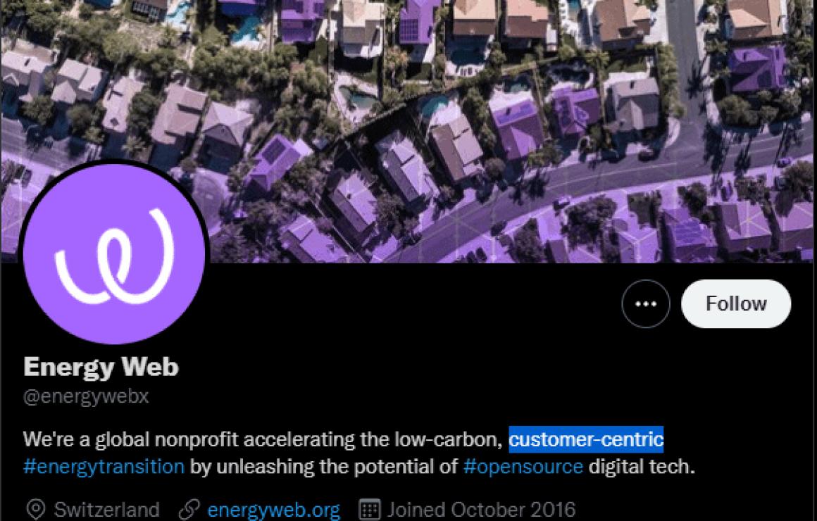 Energy Web Token (EWT) custome