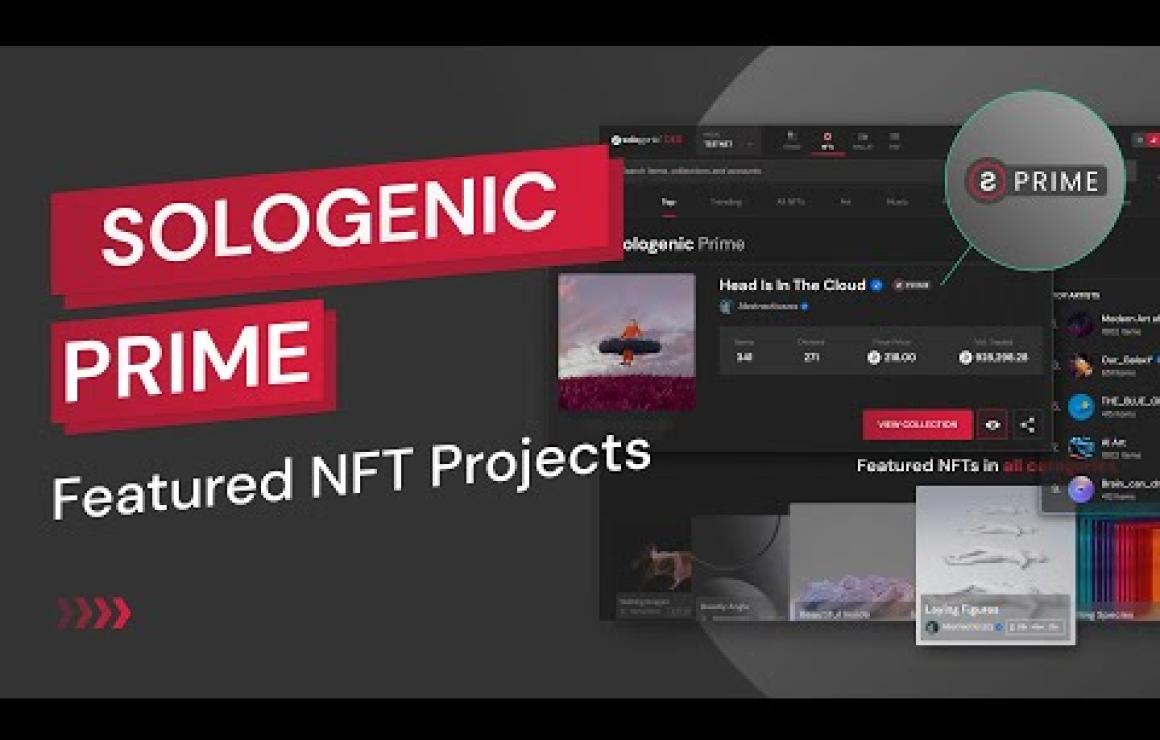 Sologenic (SOLO) customer care
