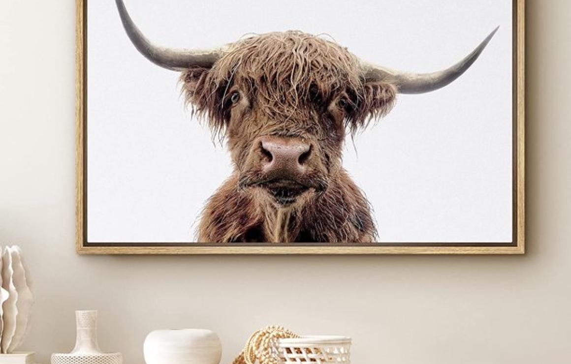 OXEN headquarters.
This is the