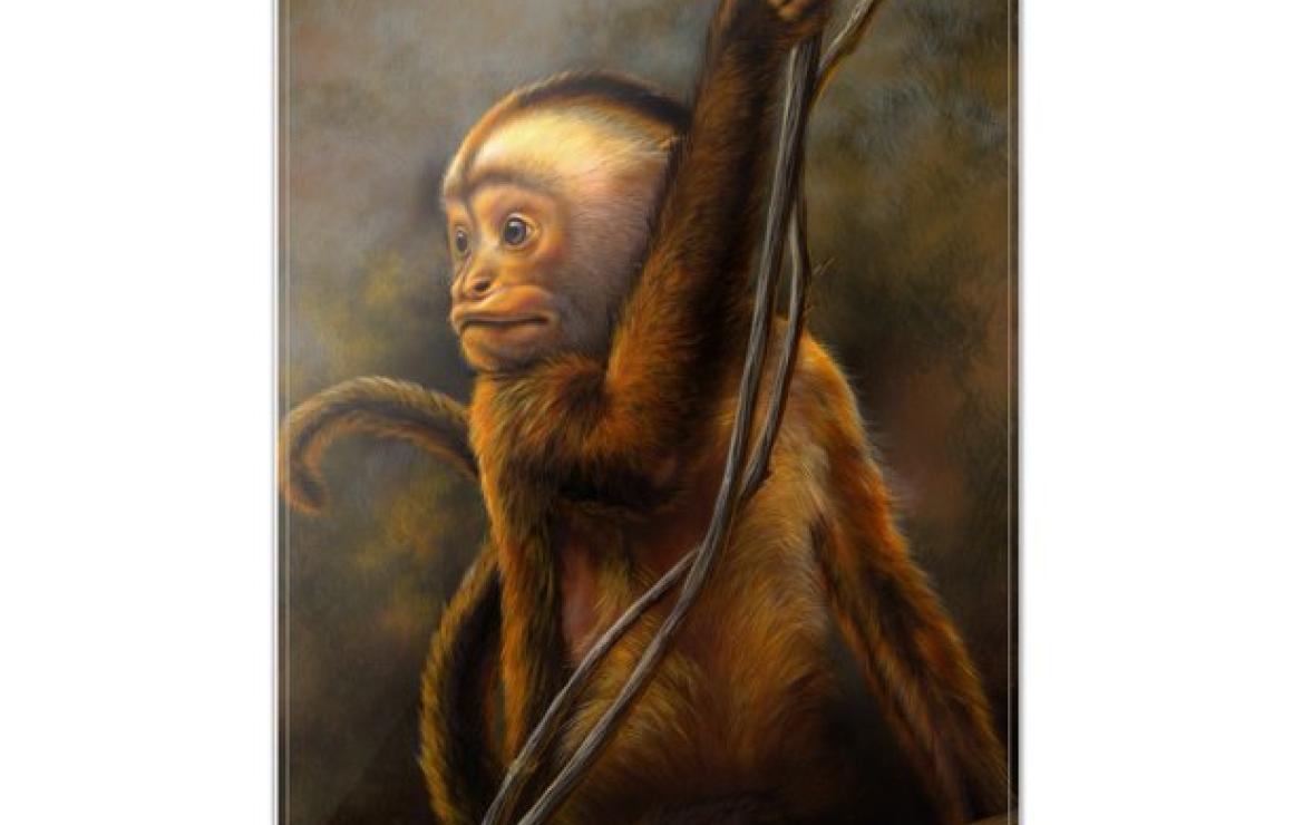 What is Meta Apes (PEEL)?
Meta