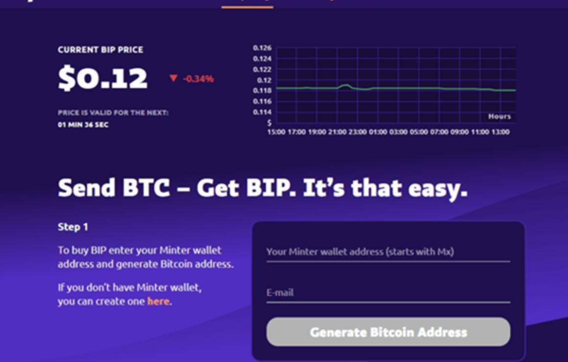 What is Minter Network (BIP)?