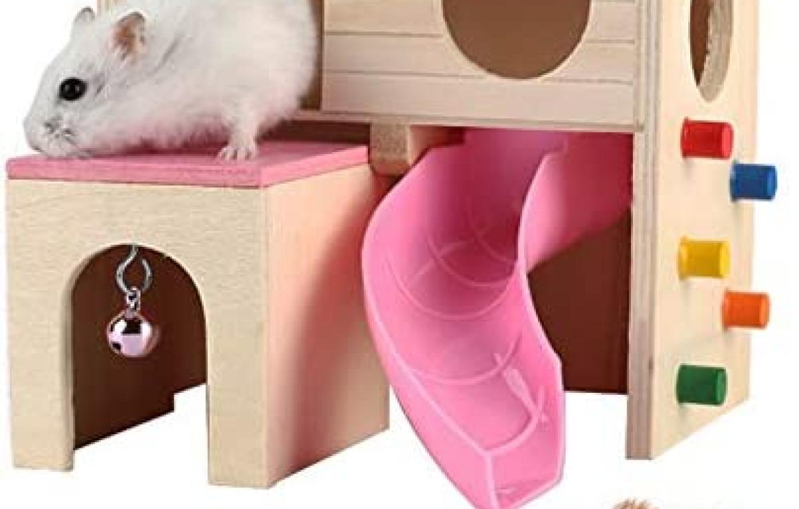 What is Hamster (HAM)?
Hamster