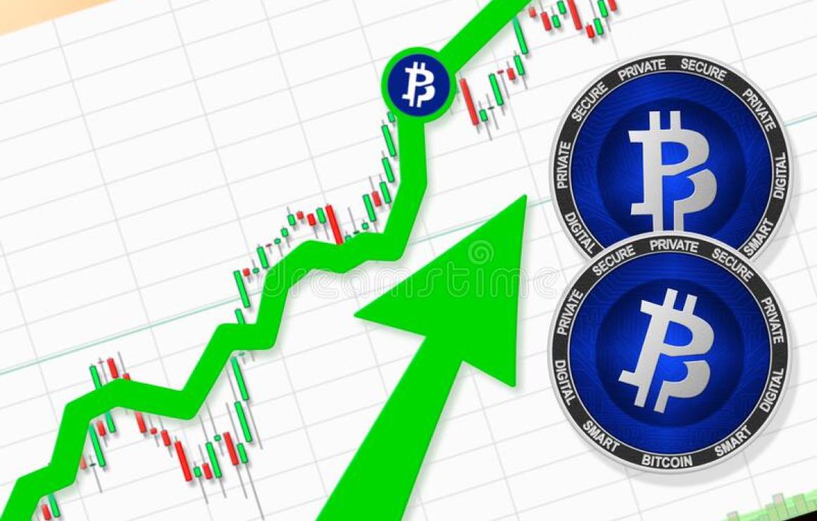 What is Bitcoin Private (BTCP)