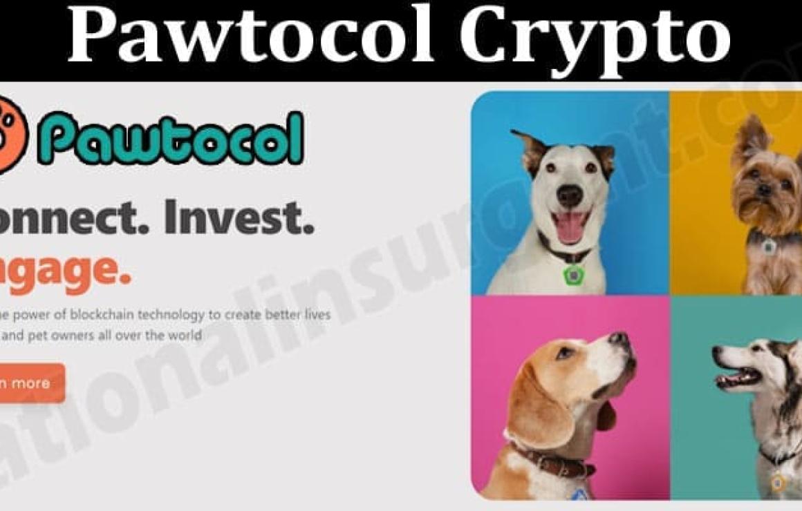 What is Pawtocol (UPI)?
Pawtoc