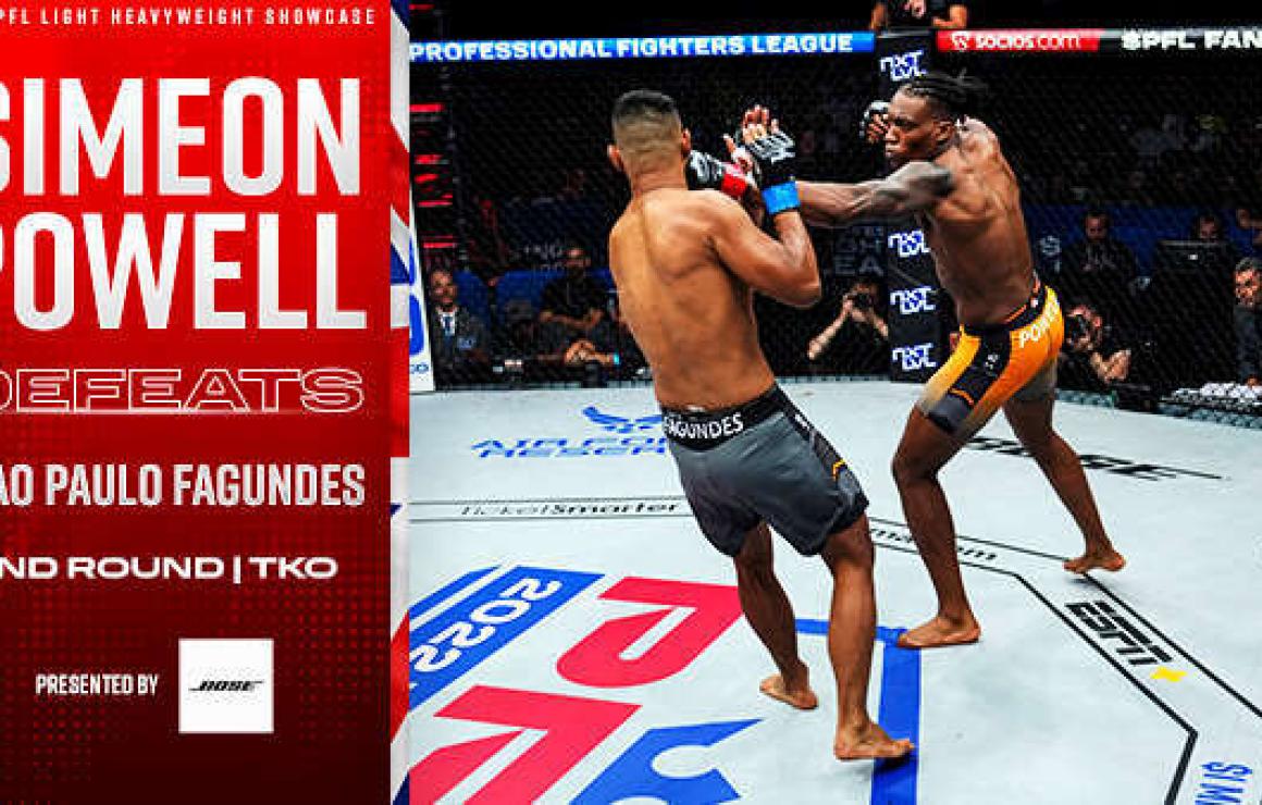 What is Professional Fighters