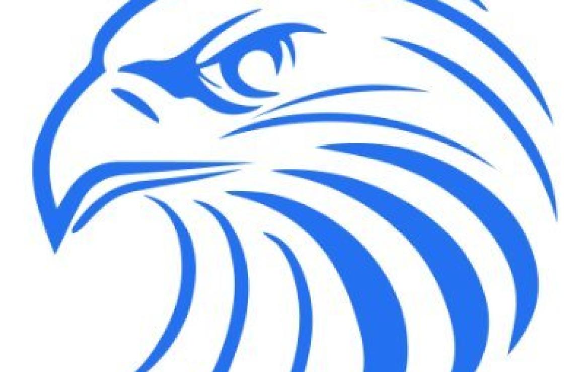 What is Falconswap (FSW)?
Falc