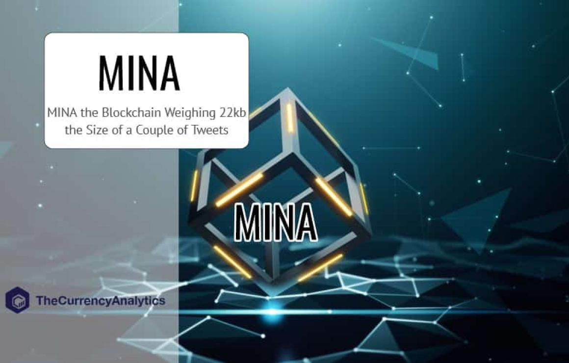 What is NANJCOIN (NANJ)?
Nanjc