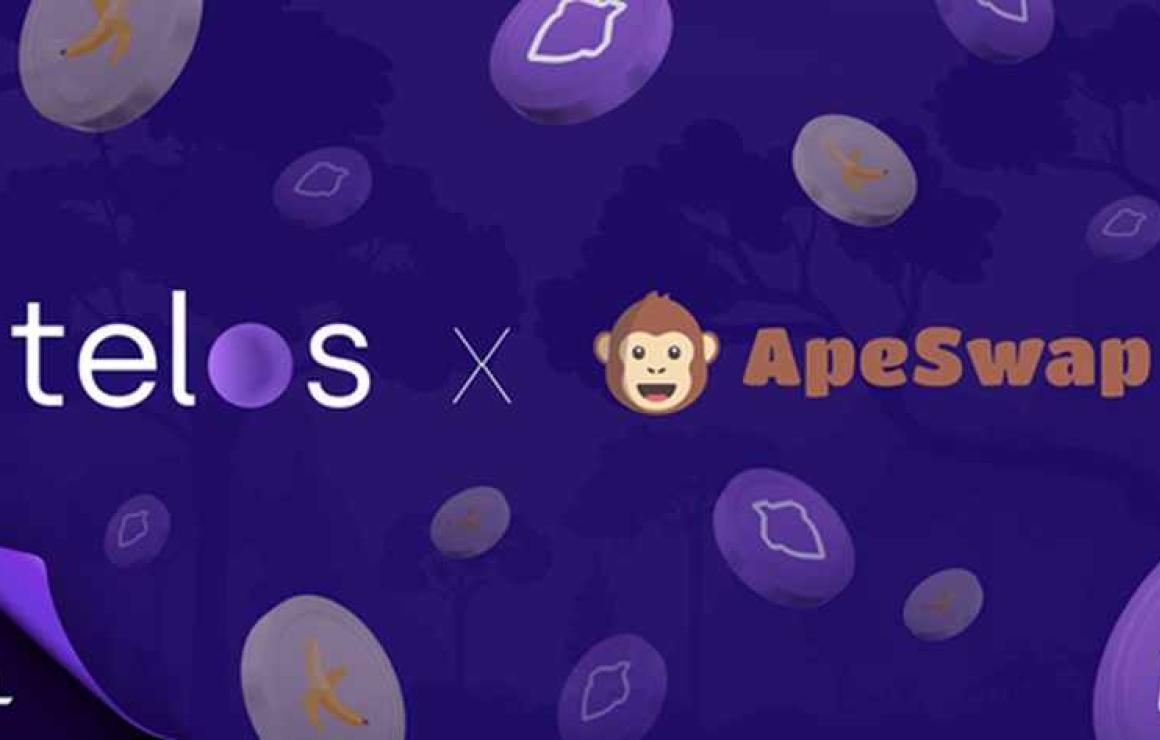 ApeSwap (Polygon) headquarters