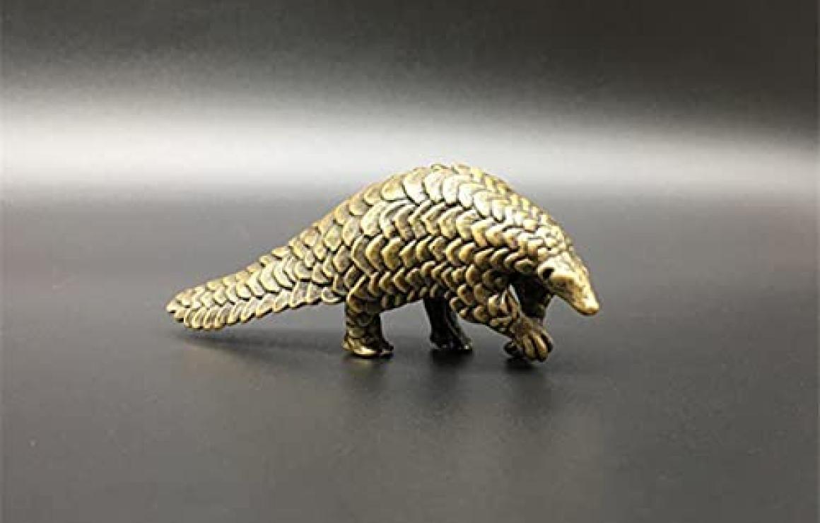 Pangolin customer care.
If you
