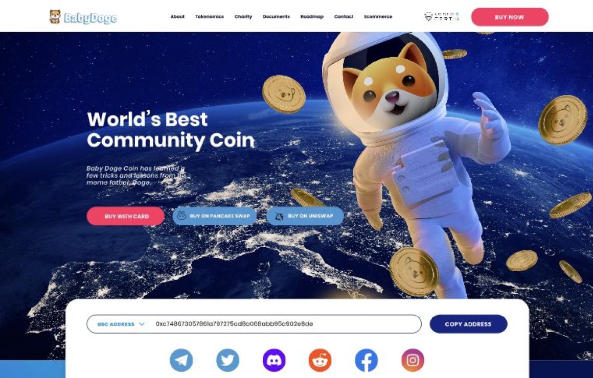 What is Baby Doge Swap?
Baby D