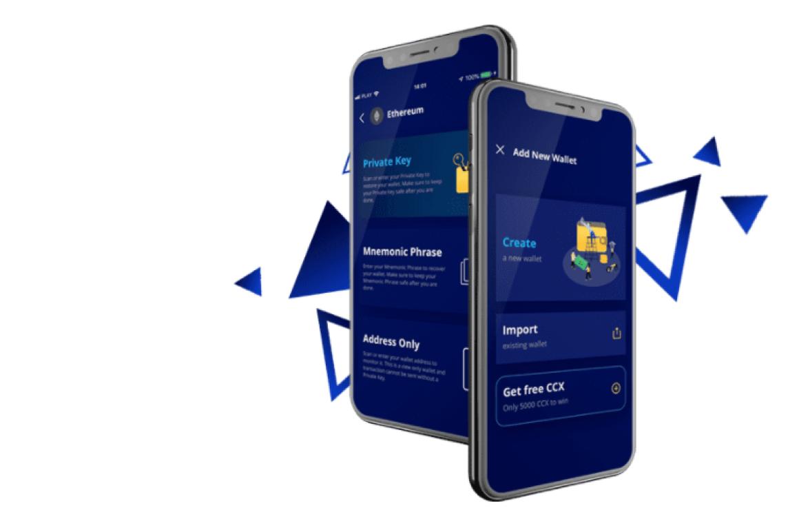 What is CoinCasso?
CoinCasso i