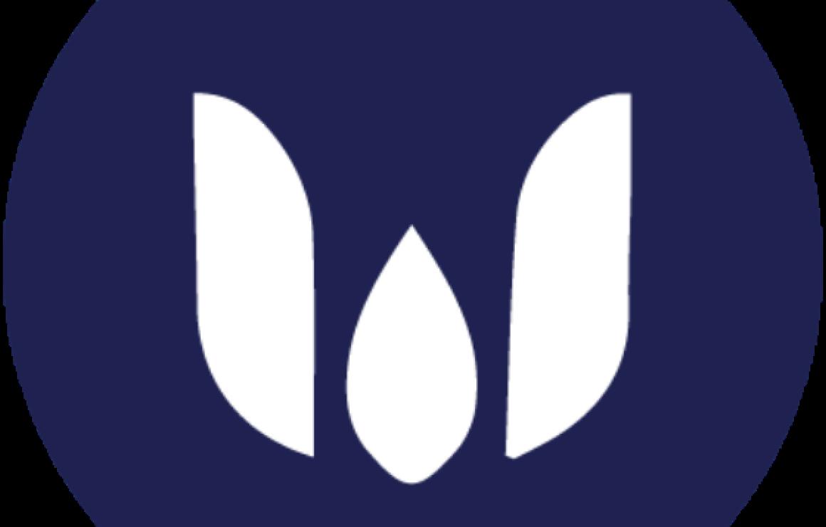 What is WardenSwap?
WardenSwap