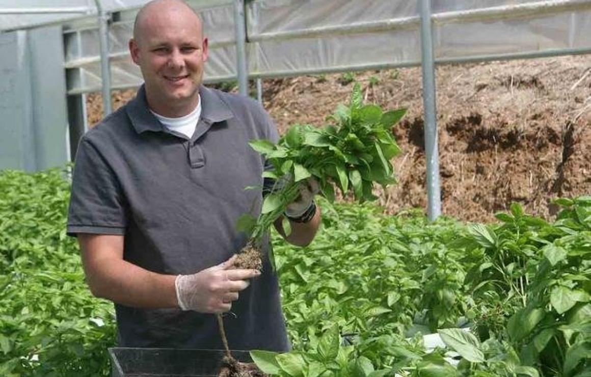What is Greenhouse?
A greenhou