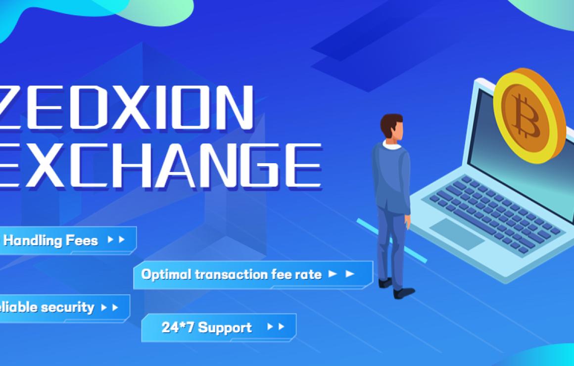 What is ZEDXION (USDZ)?
ZEDXIO