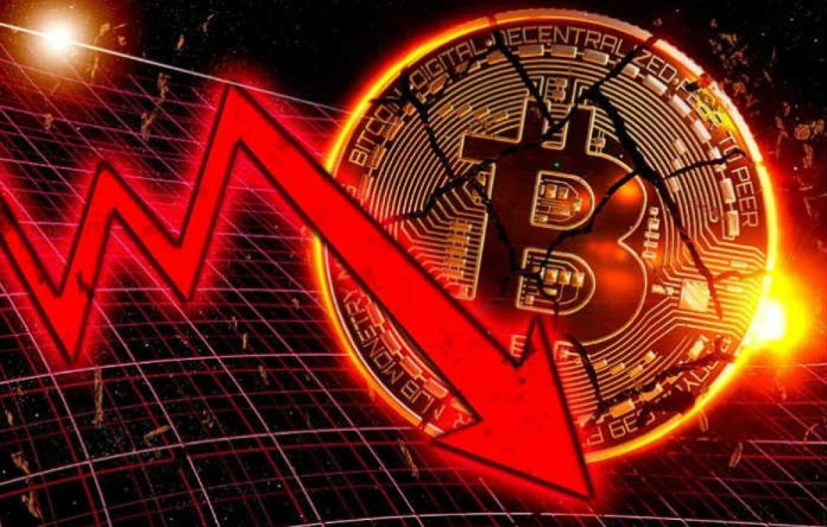 BTCDOWN headquarters.
The team