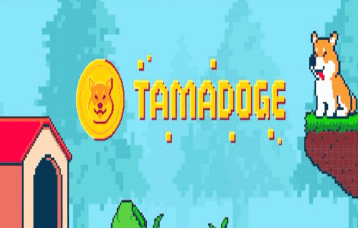 Tamadoge (TAMA) headquarters.
