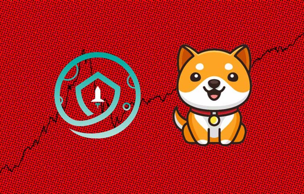 What is SafeMoon V (SFM)?
Safe