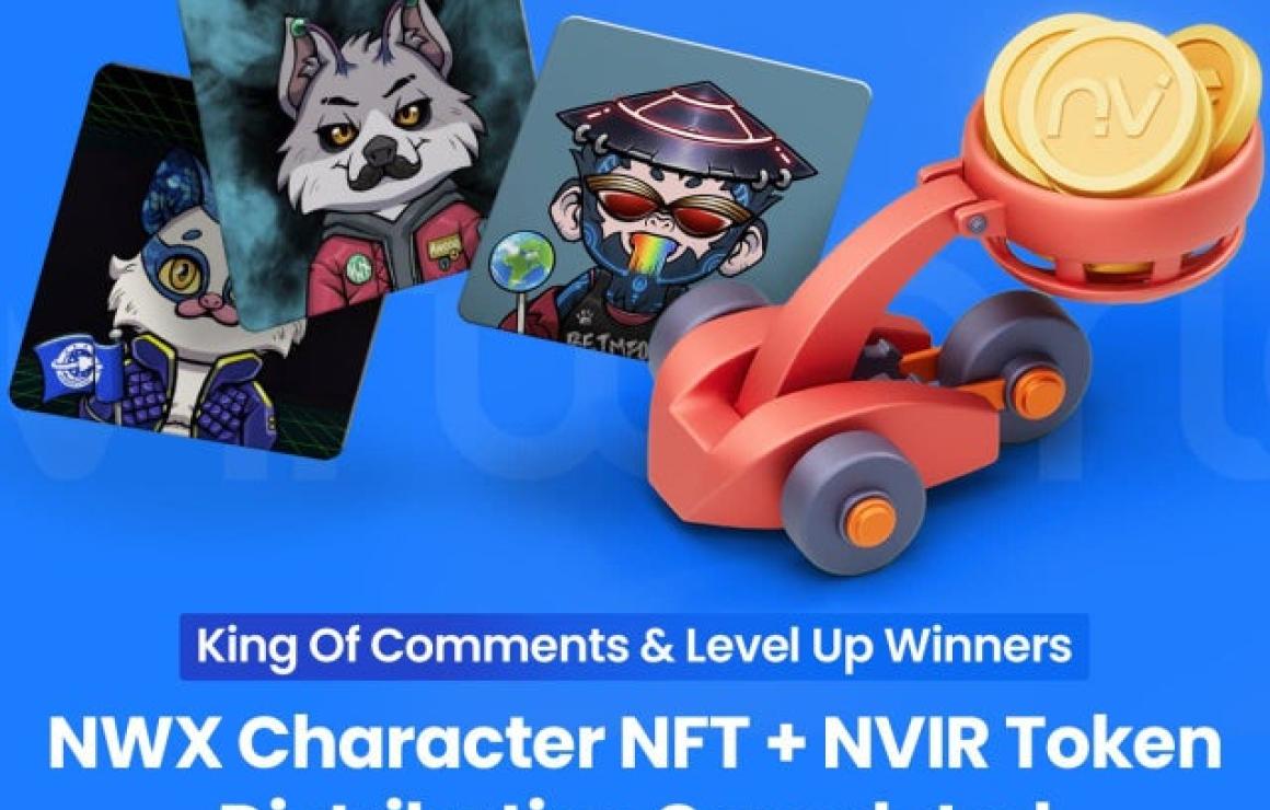 What is NvirWorld (NVIR)?
Nvir