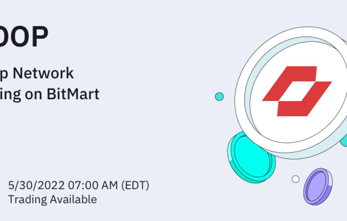 What is LoopNetwork (LOOP)?
Lo