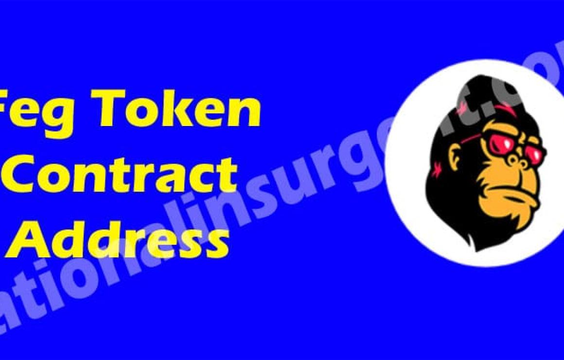 What is FEG Token (FEG)?
FEG T