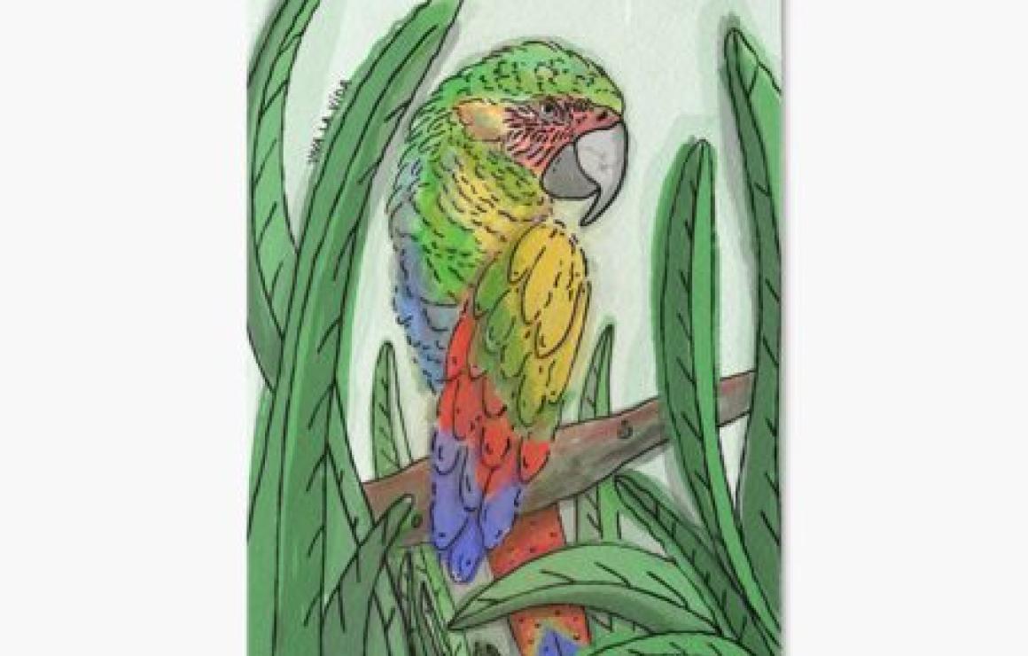 Parrot USD (PAI) headquarters.
