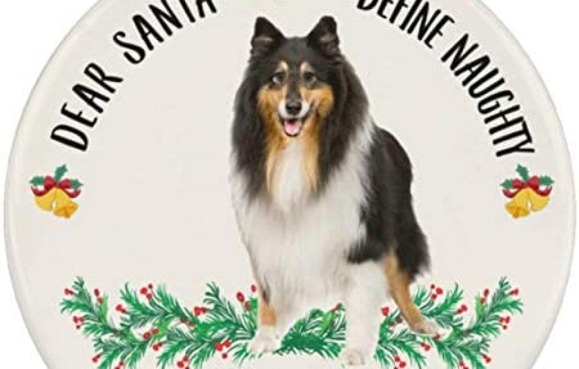 Collie Inu (COLLIE) customer c