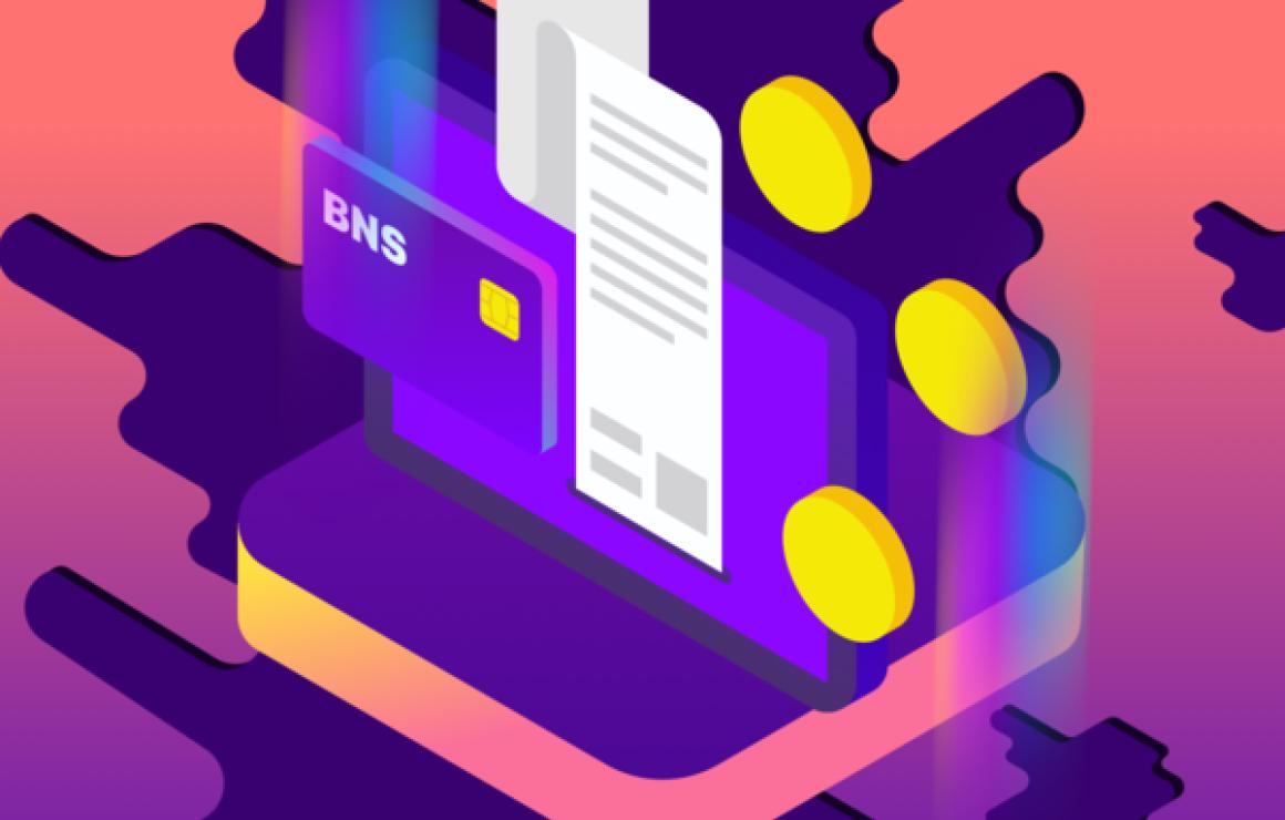 BNS Token (BNS) customer care.