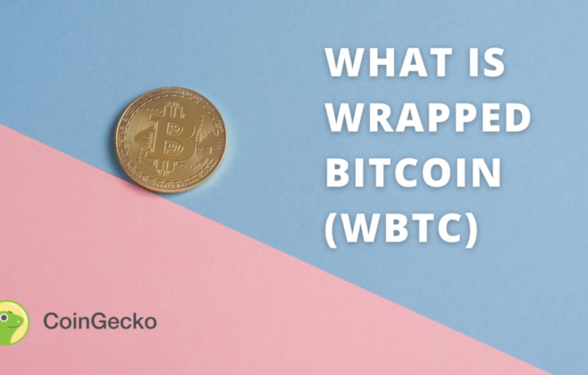 What is Binance Wrapped DOT (B