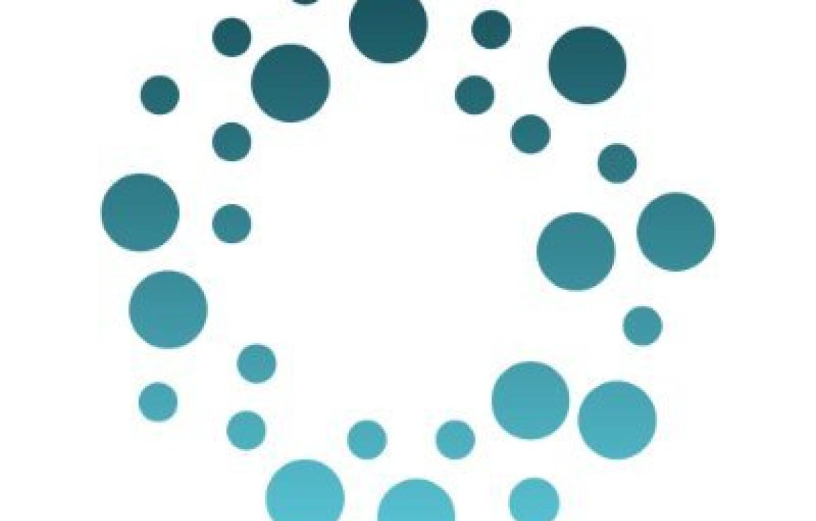 What is Lumerin (LMR)?
Lumerin