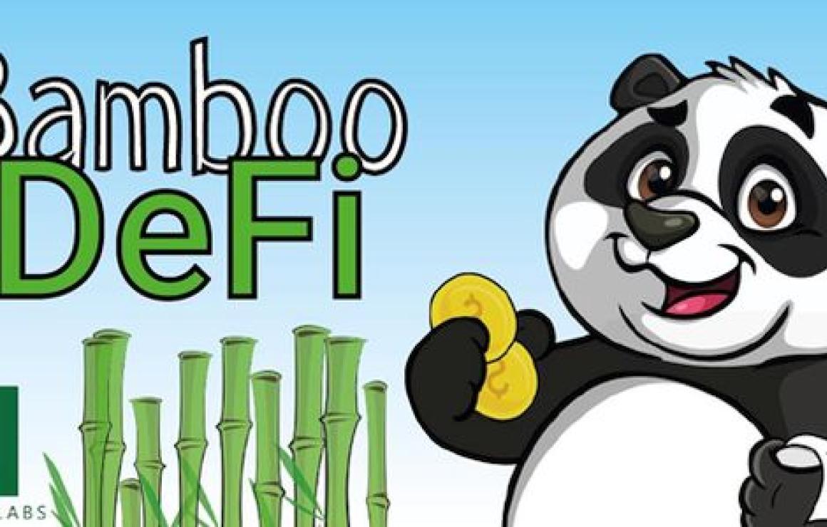 BambooDeFi (BAMBOO) headquarte