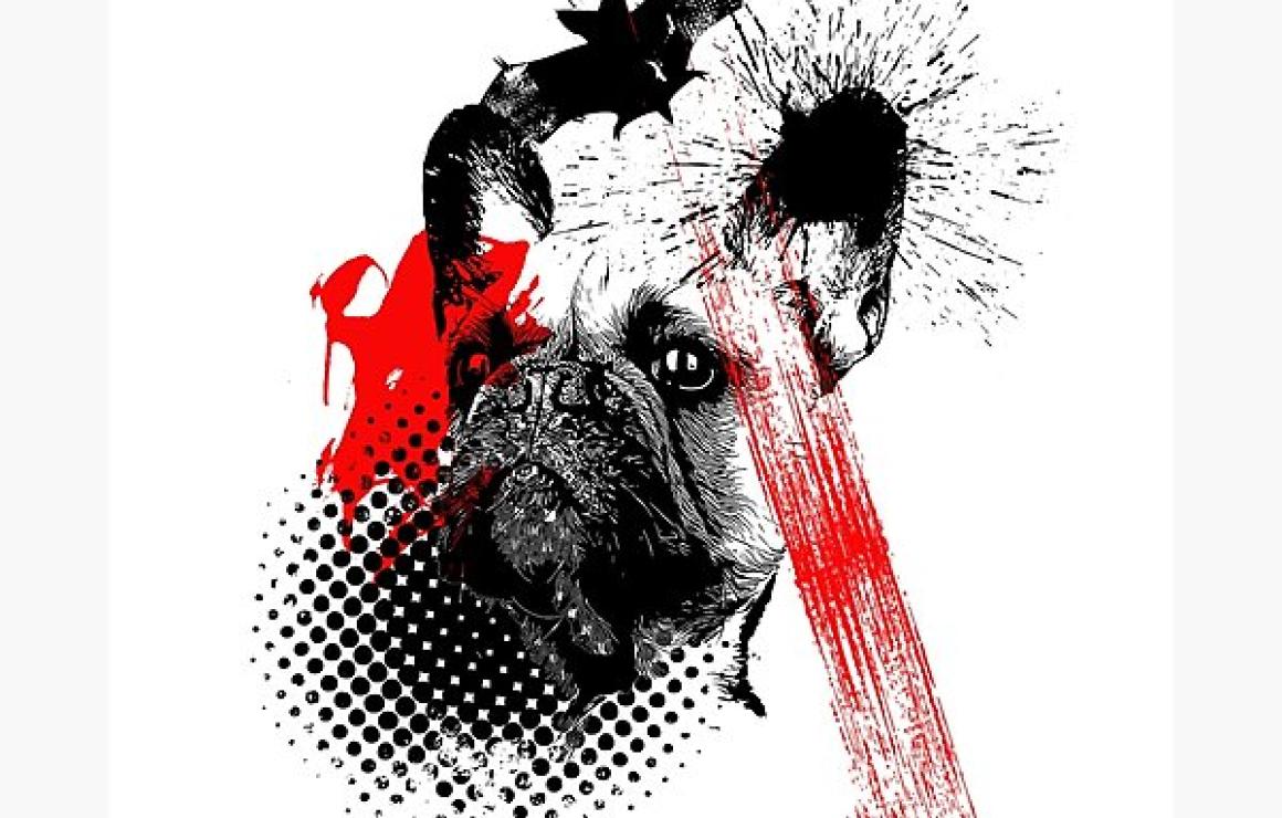 What is PolkaPets (PETS)?
Polk