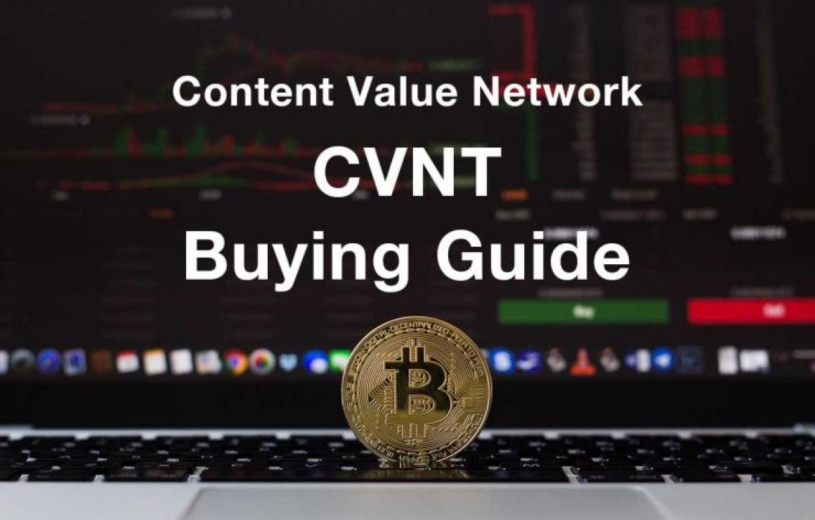 What is Conscious Value Networ