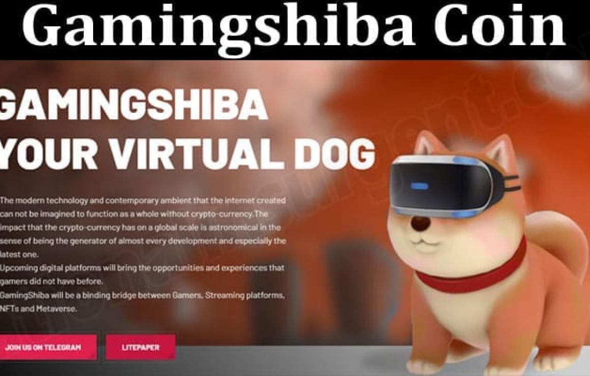 GAMINGSHIBA customer care.
If