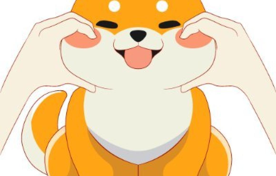 Baby Shiba Inu (BABYSHIBAINU)