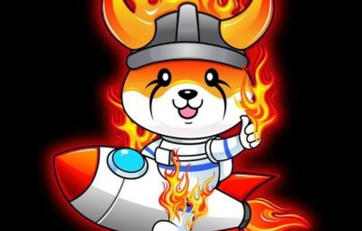 What is Burn Floki (BFLOKI)?
B