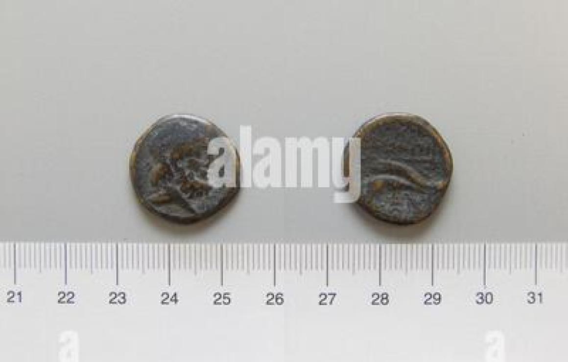 JK Coin (JK) customer care.
If