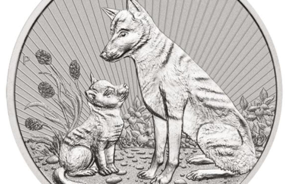 Dingocoin (DINGO) headquarters