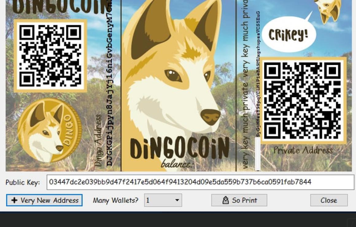 Dingocoin (DINGO) customer car